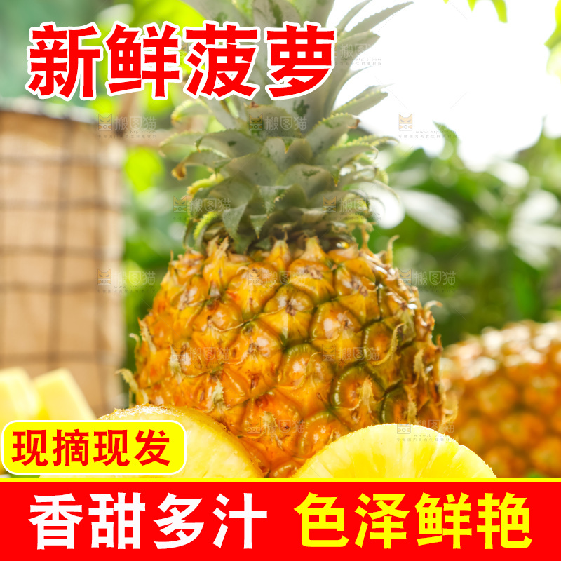 菠萝