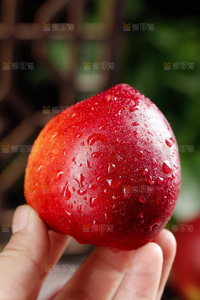 黄心油桃