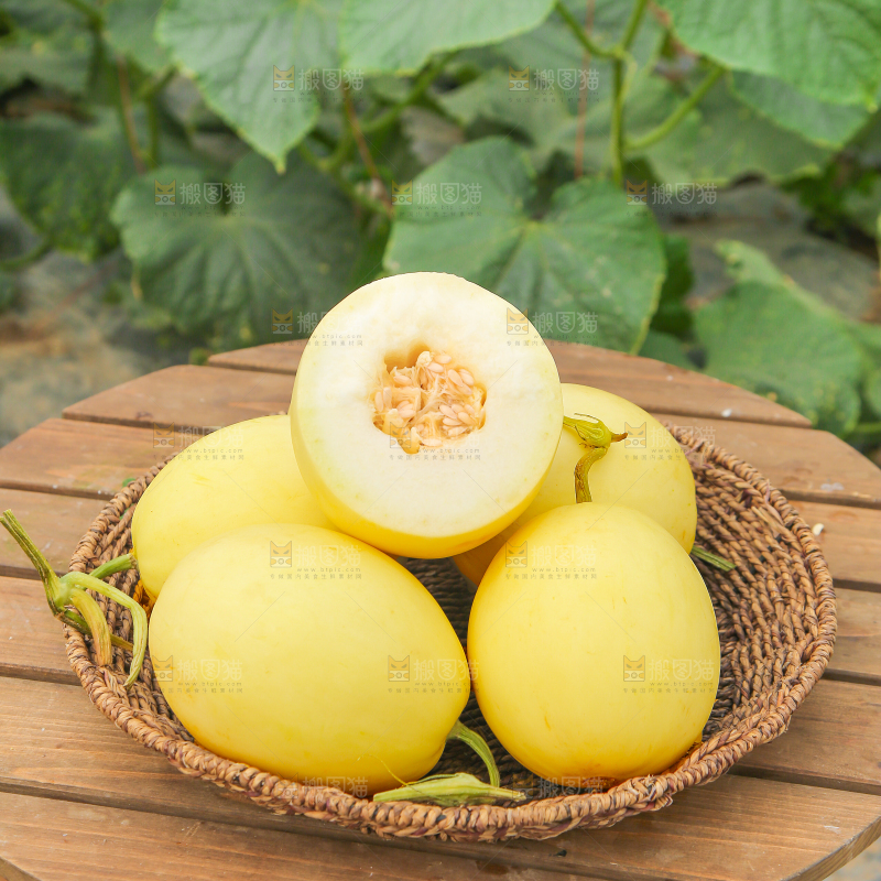 小蜜蜂甜瓜