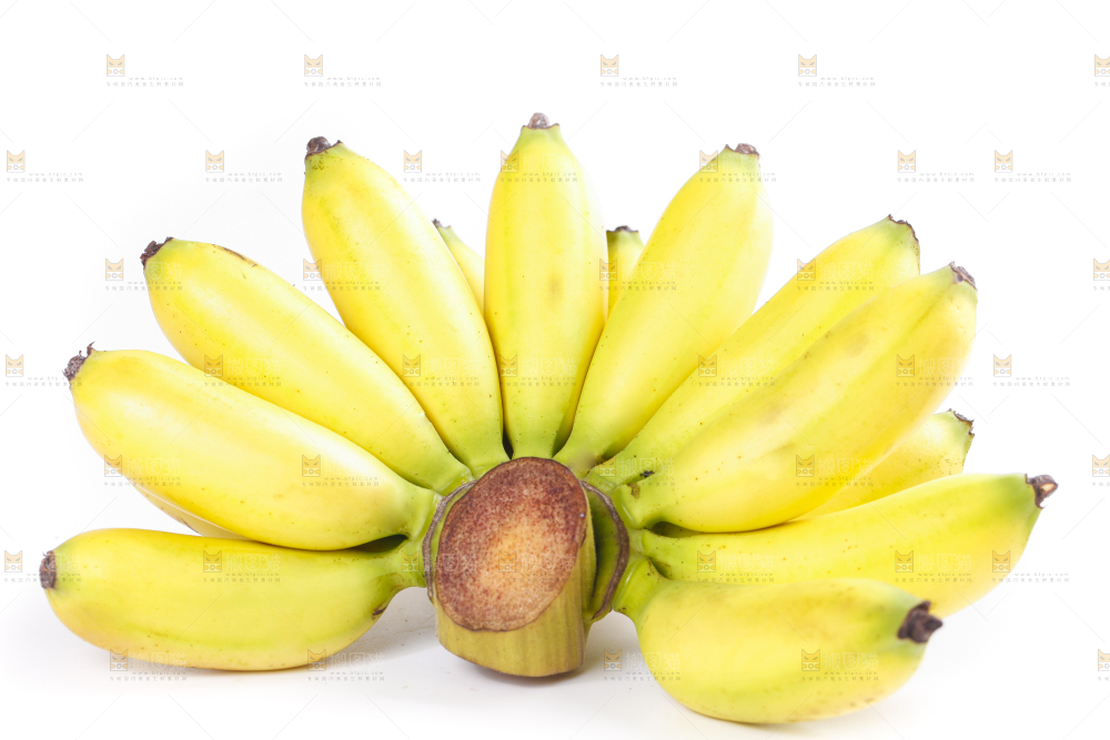 皇帝蕉