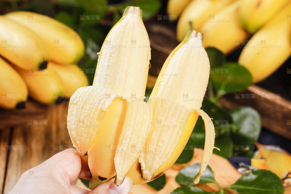 皇帝蕉