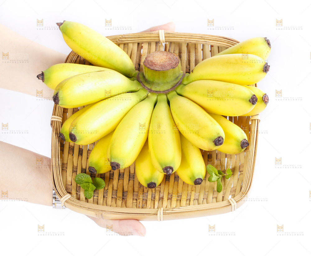 皇帝蕉