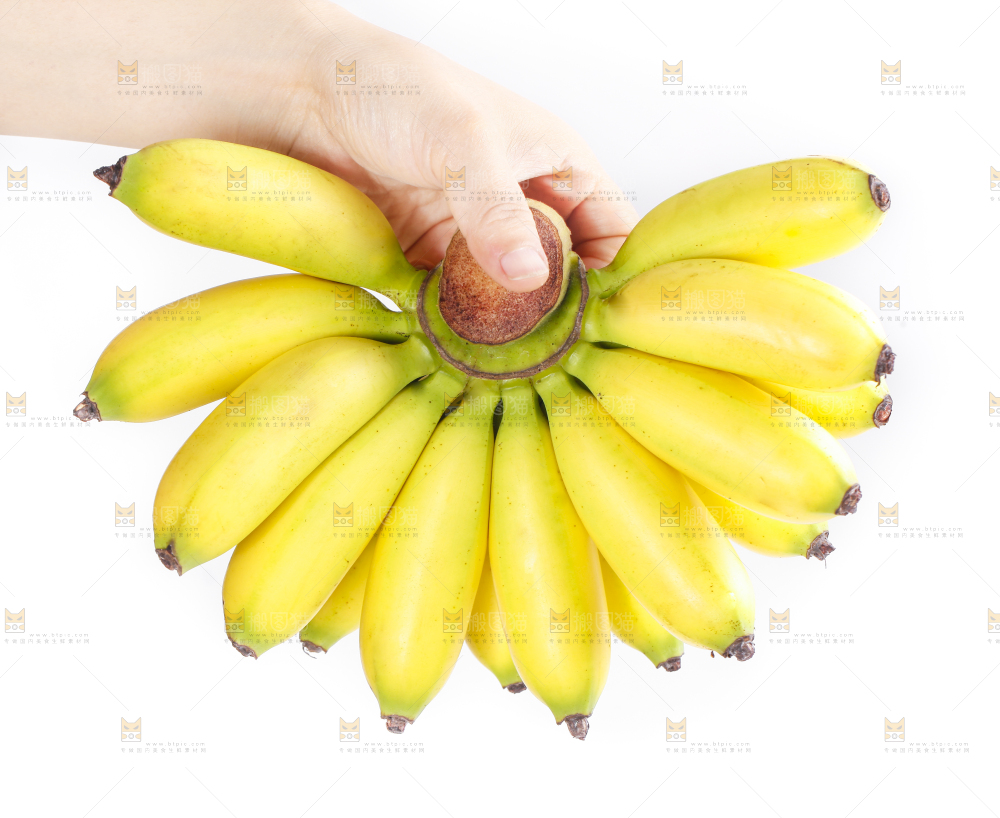 皇帝蕉