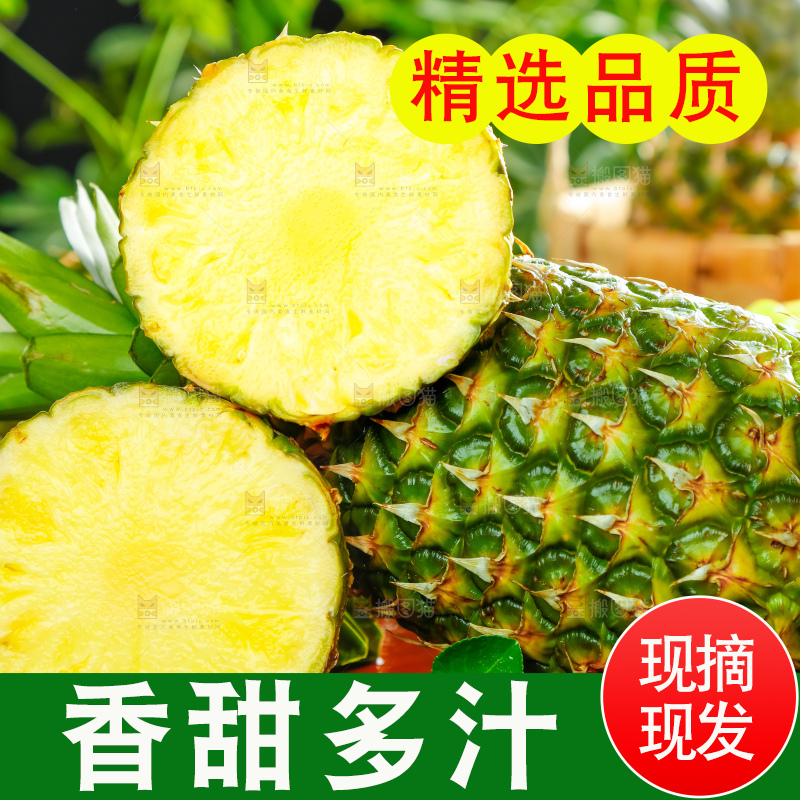 凤梨