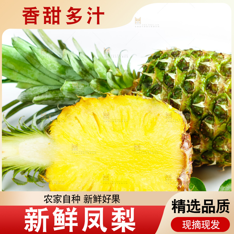 凤梨
