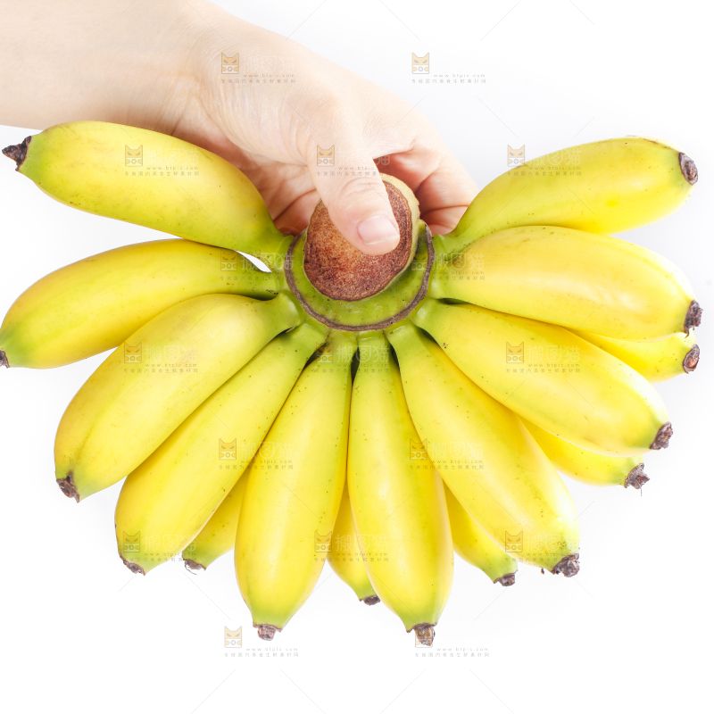 皇帝蕉