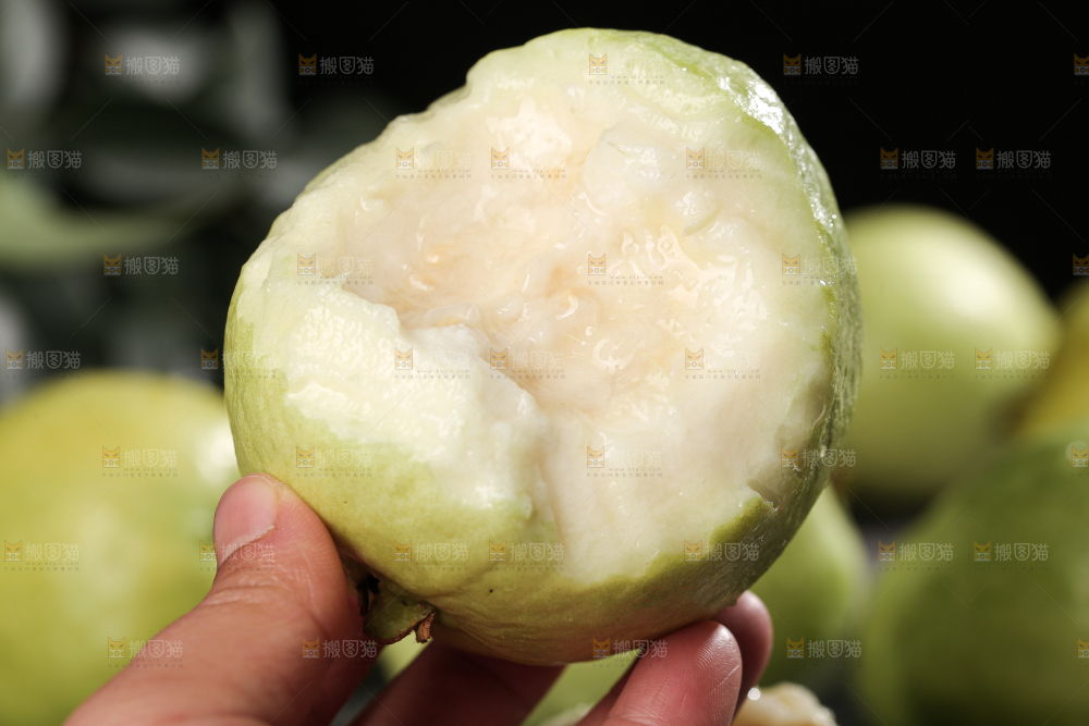 白心芭乐