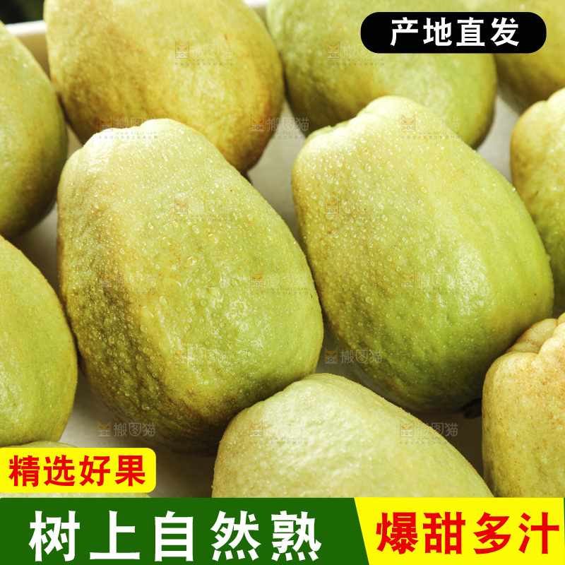 红心芭乐