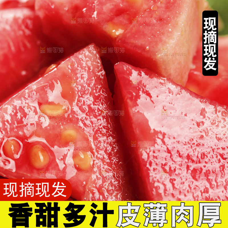 红心芭乐