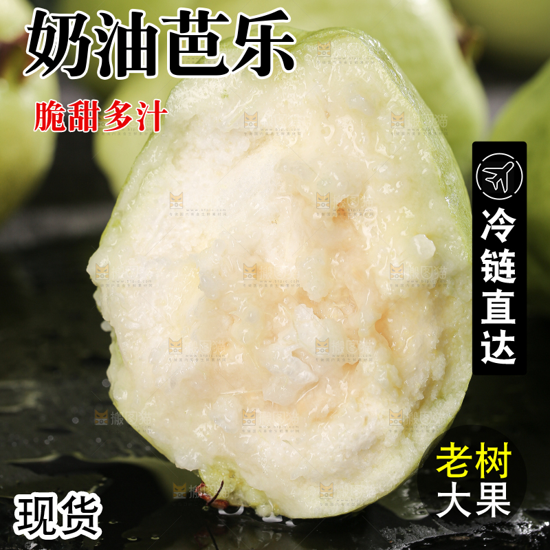 白心芭乐