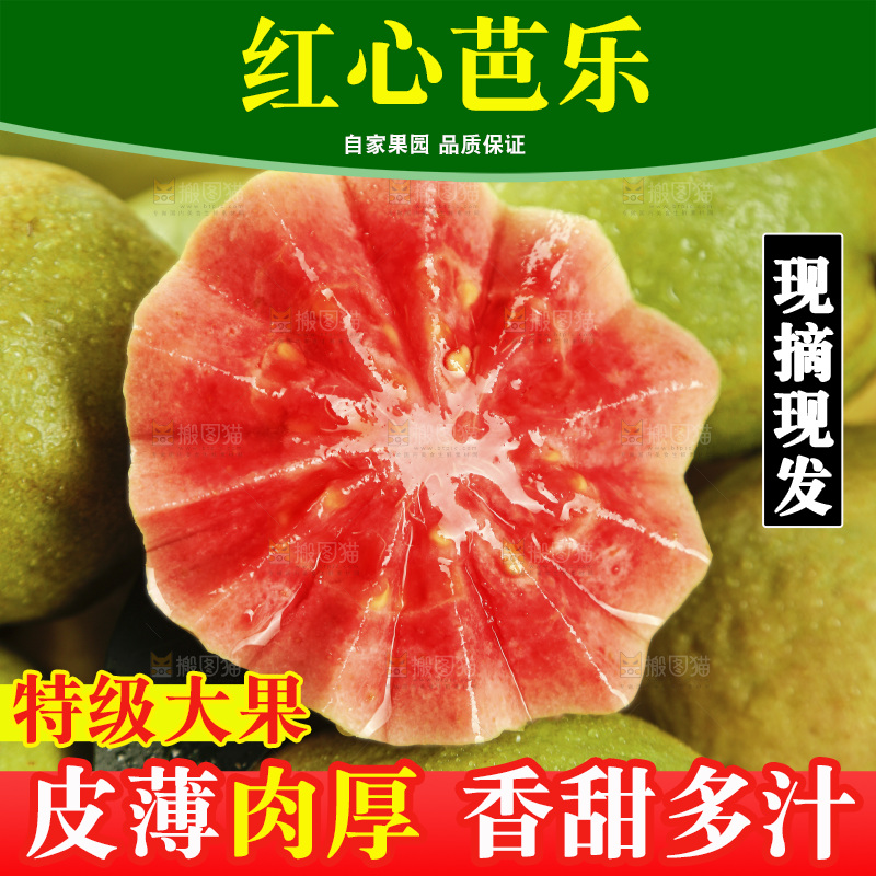 红心芭乐