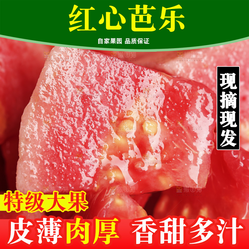 红心芭乐