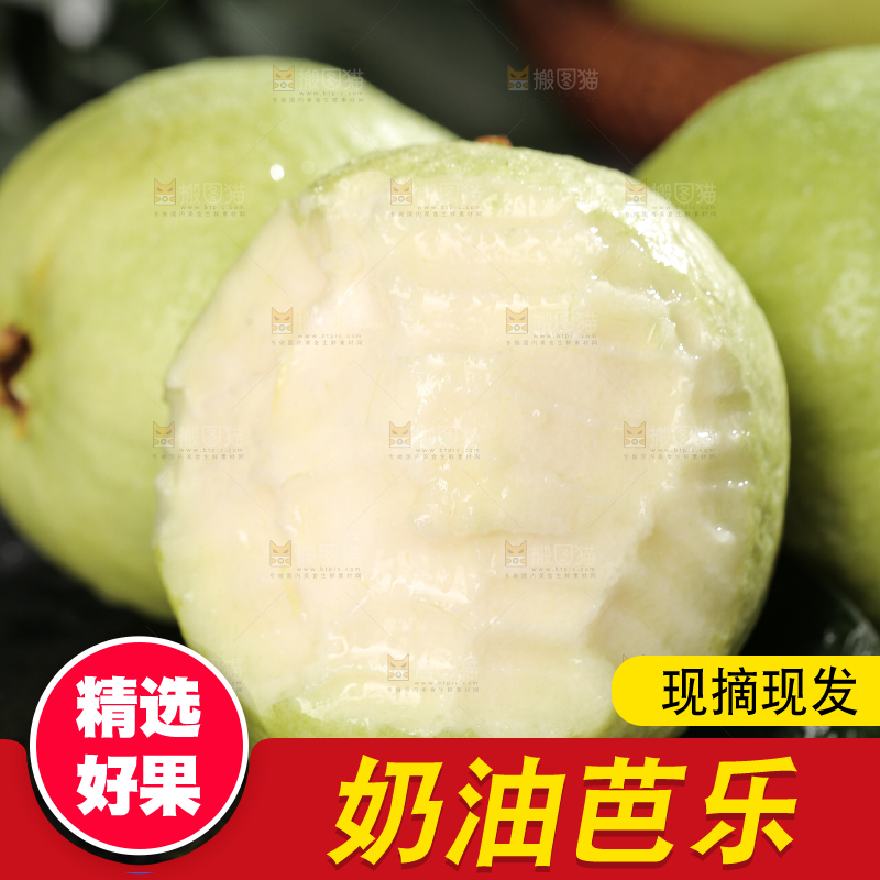 白心芭乐
