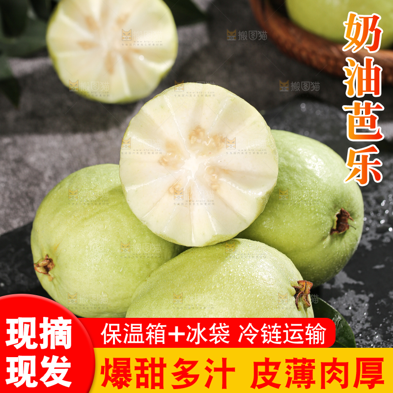 白心芭乐