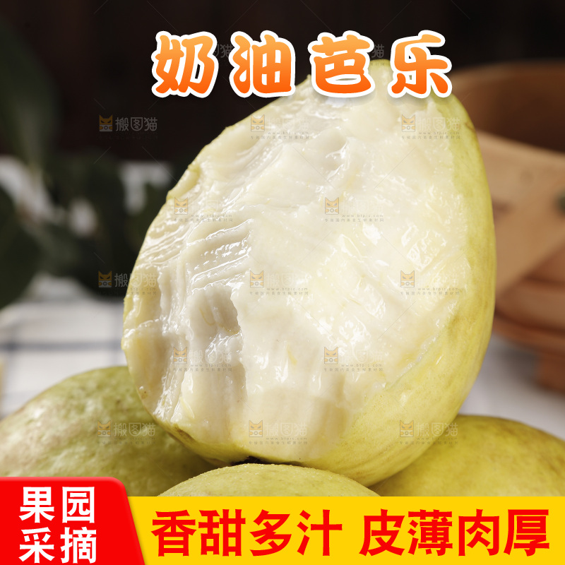 白心芭乐
