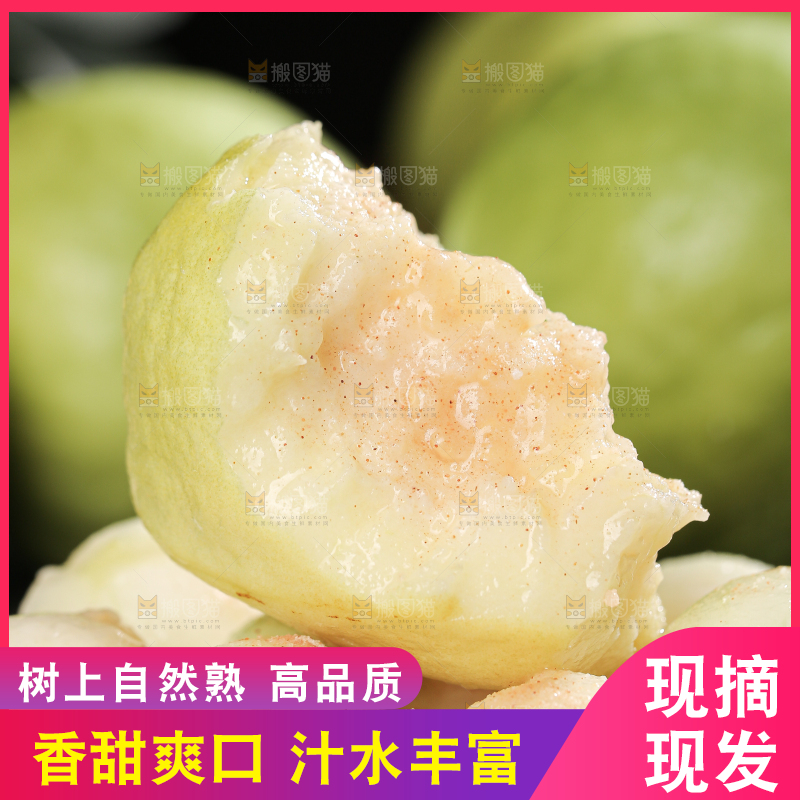 白心芭乐
