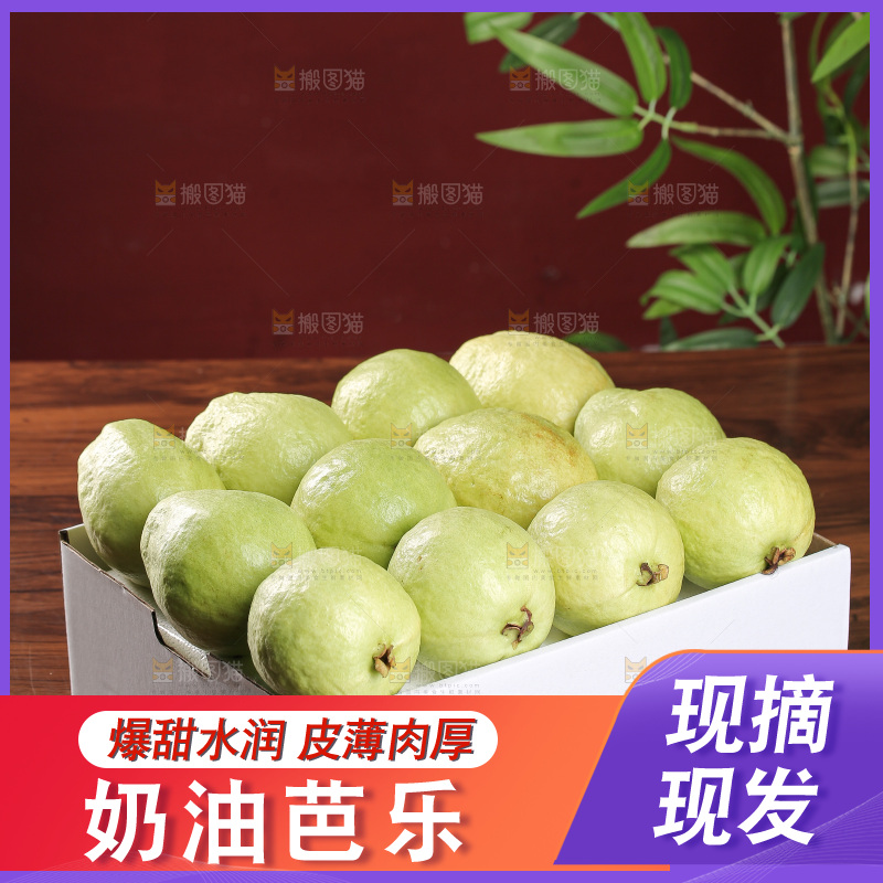 白心芭乐