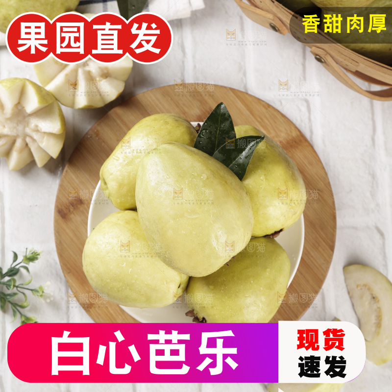 白心芭乐