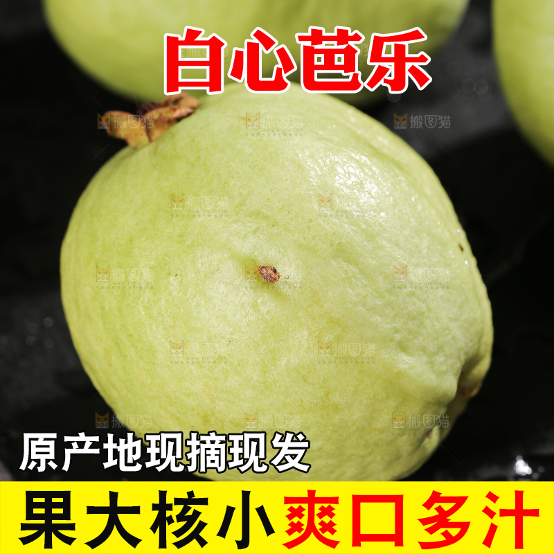 白心芭乐