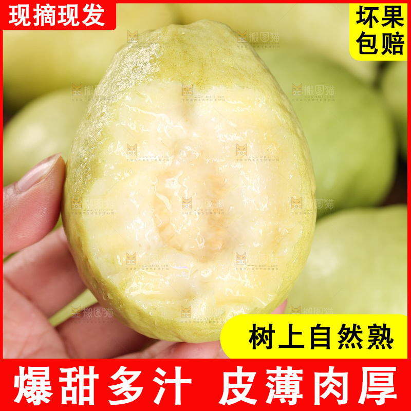 白心芭乐