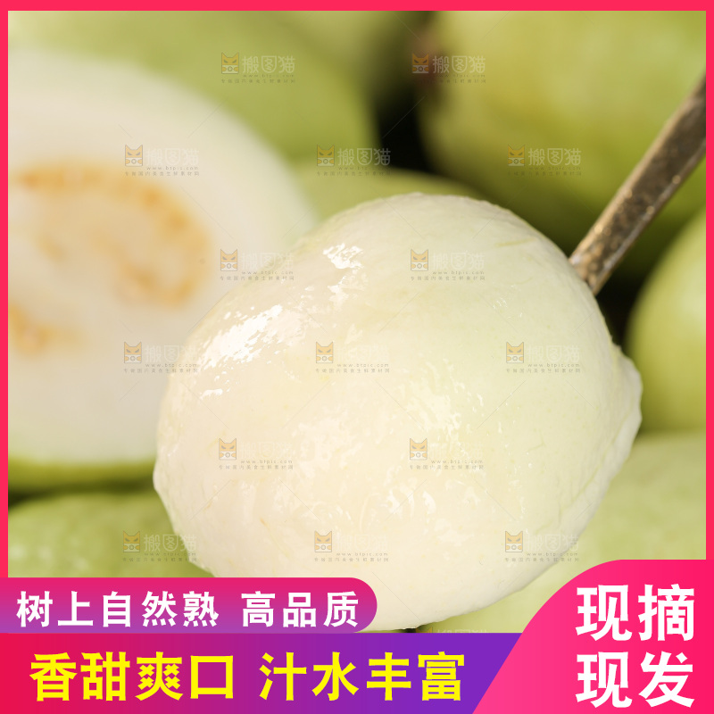 白心芭乐