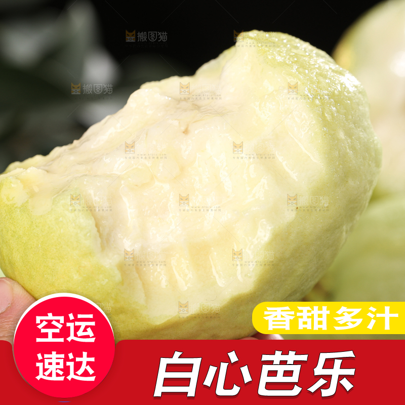 白心芭乐