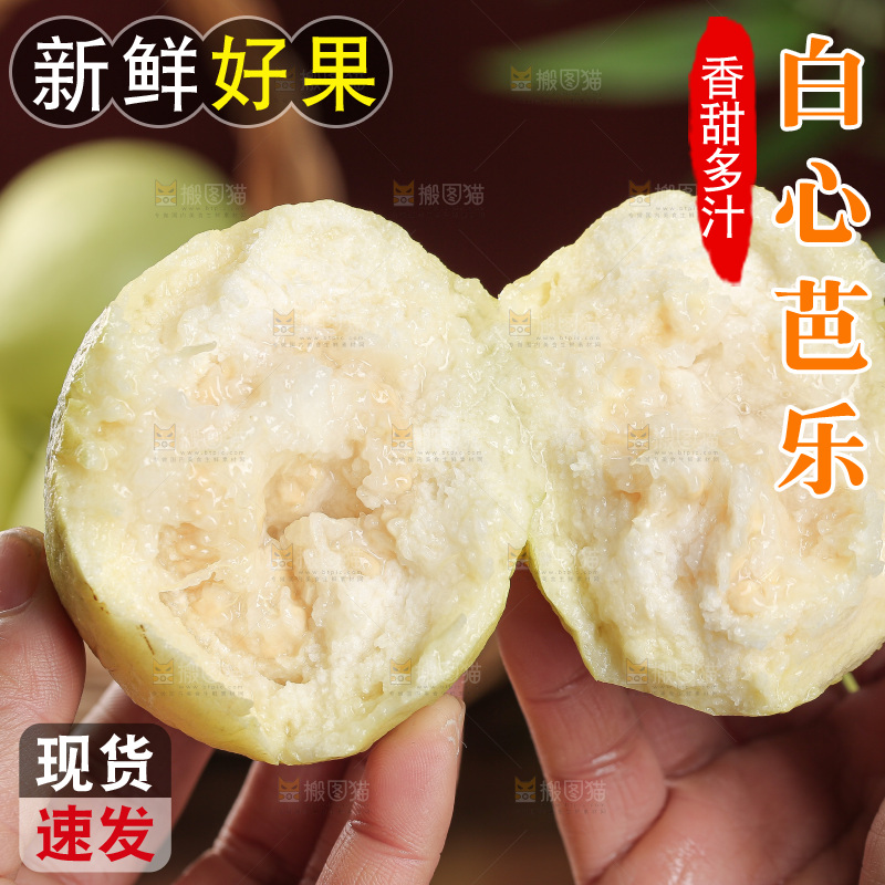 白心芭乐