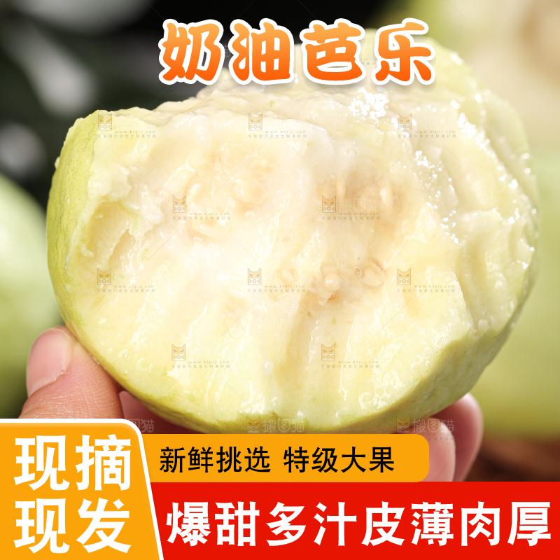 白心芭乐