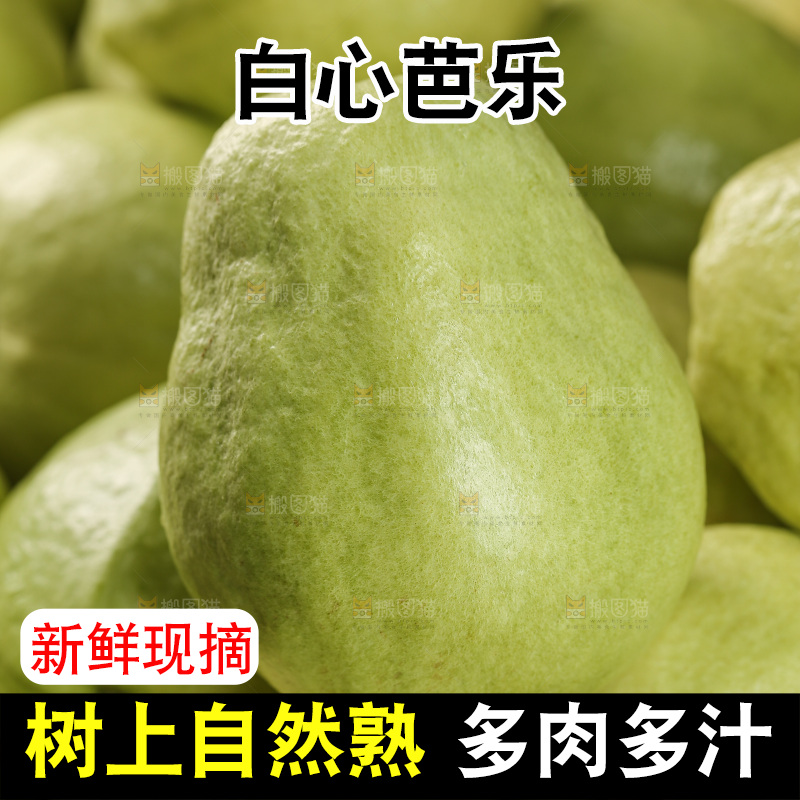 白心芭乐