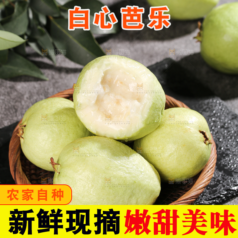 白心芭乐