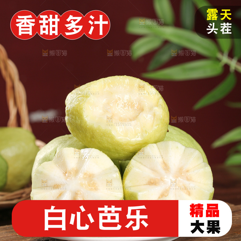 白心芭乐