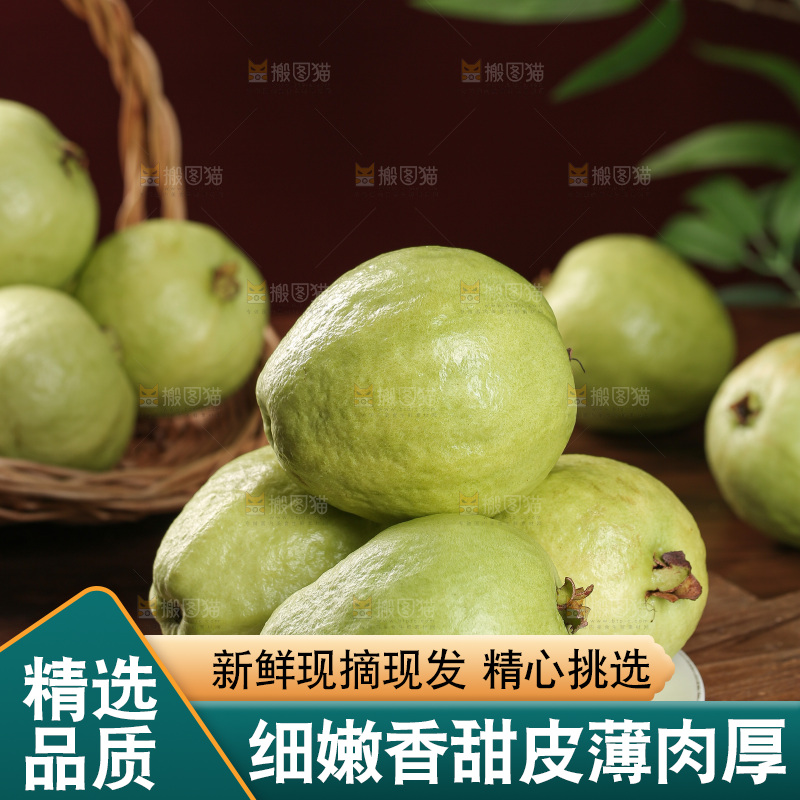 白心芭乐