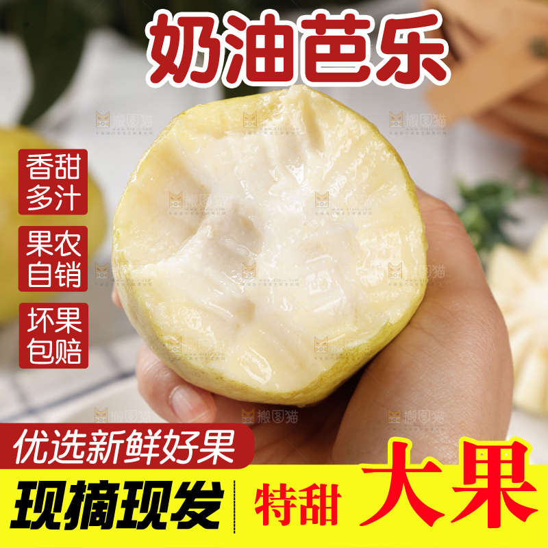 白心芭乐