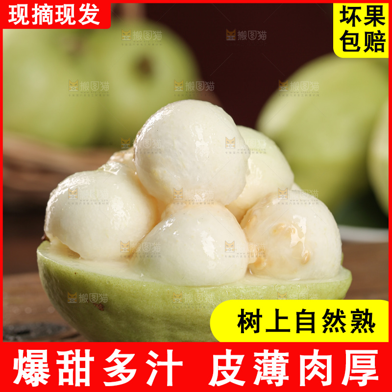 白心芭乐