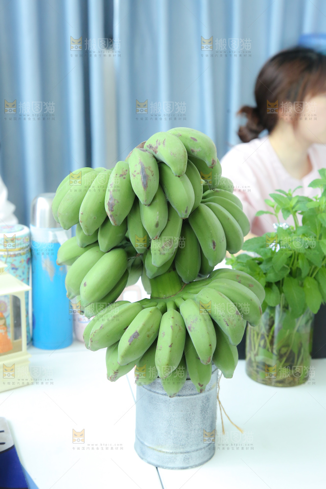 水培香蕉