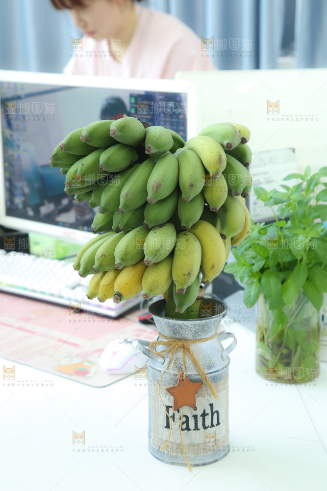 水培香蕉