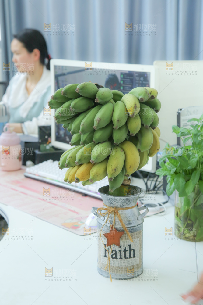 水培香蕉