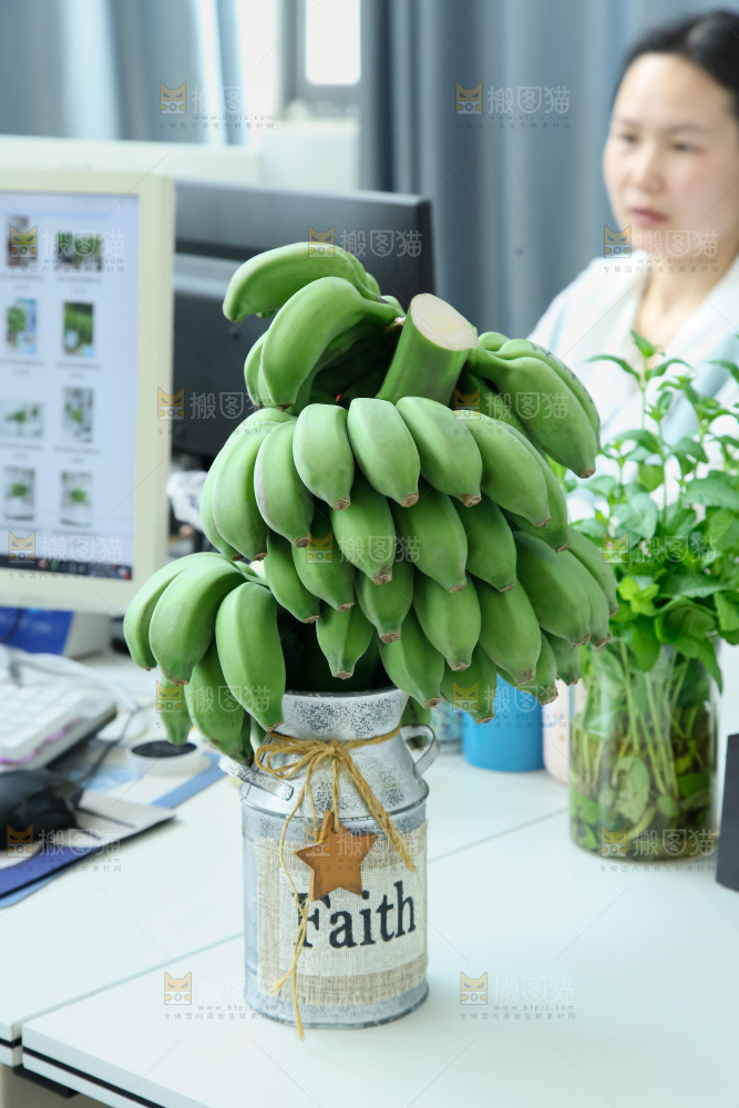 水培香蕉