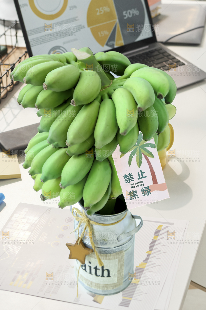 水培香蕉