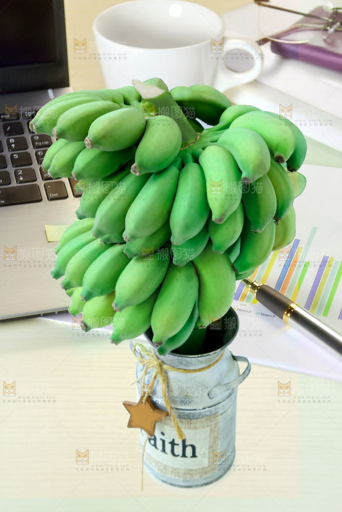 水培香蕉
