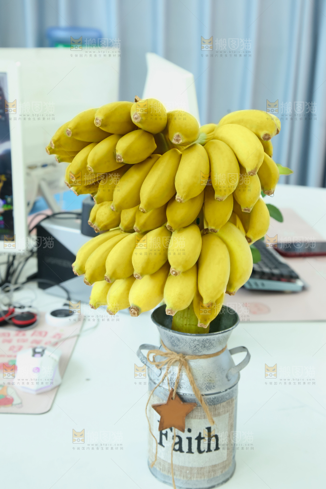 水培香蕉