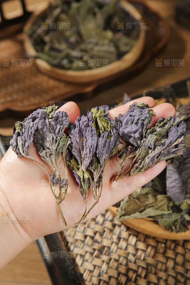 干紫苏