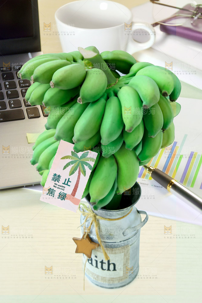 水培香蕉