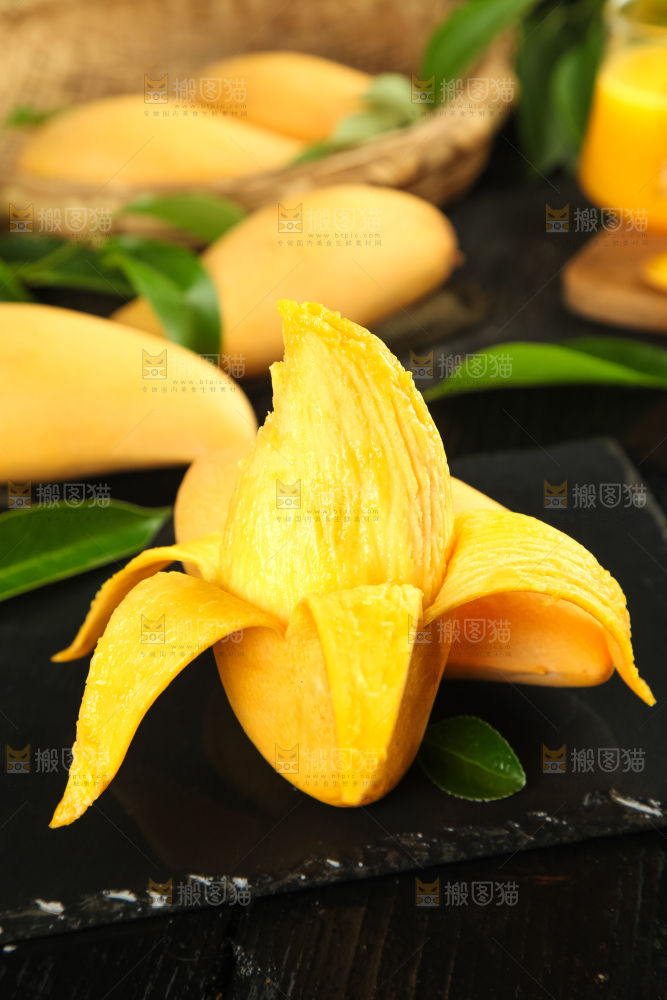 鹰嘴芒