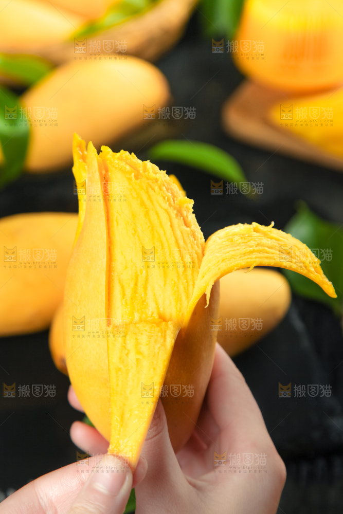鹰嘴芒