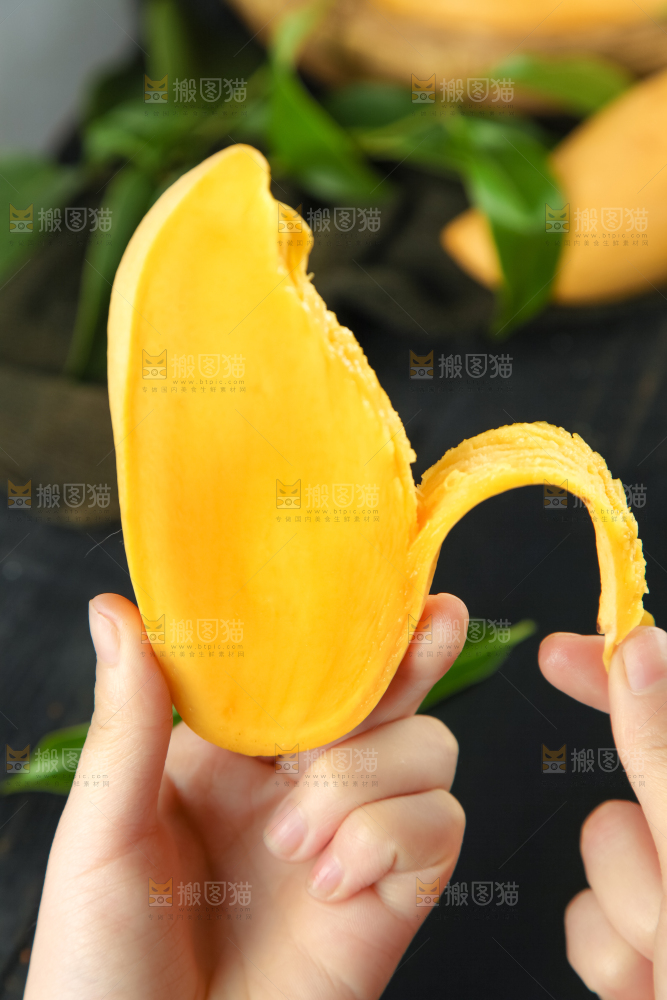 鹰嘴芒