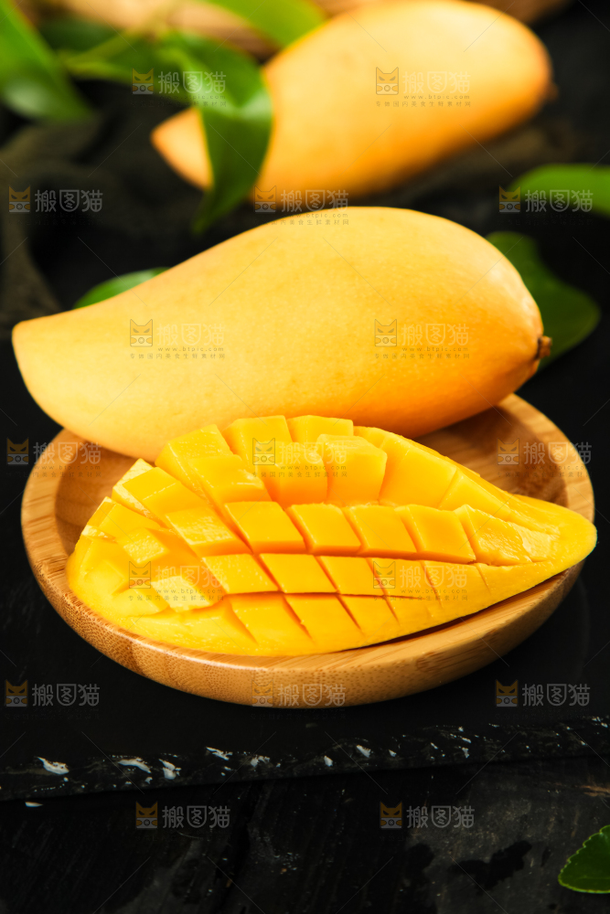 鹰嘴芒