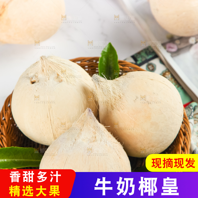 牛奶椰皇