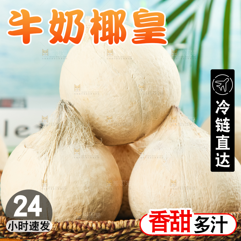 牛奶椰皇