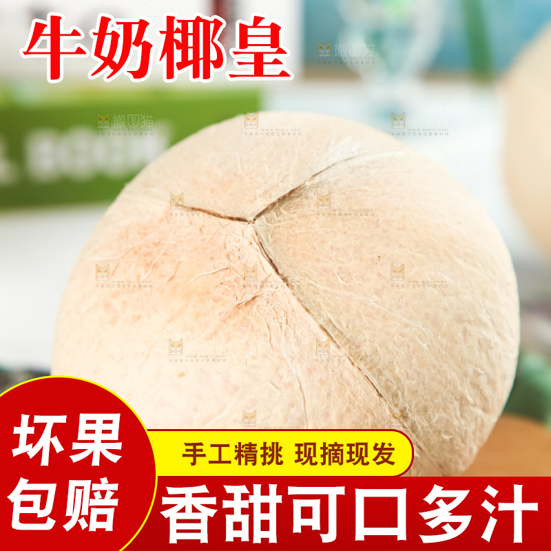 牛奶椰皇